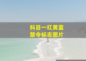 科目一红黄蓝禁令标志图片