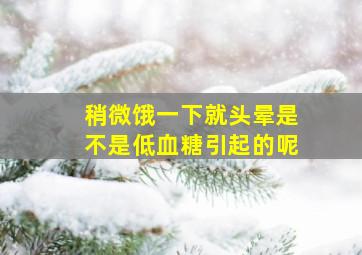 稍微饿一下就头晕是不是低血糖引起的呢