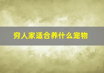 穷人家适合养什么宠物