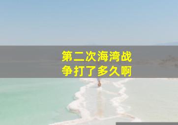 第二次海湾战争打了多久啊