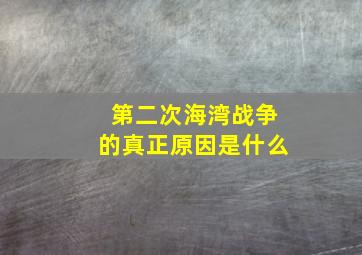 第二次海湾战争的真正原因是什么