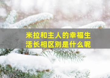 米拉和主人的幸福生活长相区别是什么呢