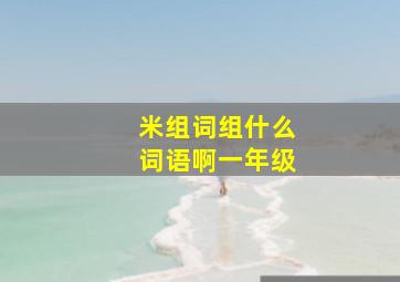 米组词组什么词语啊一年级