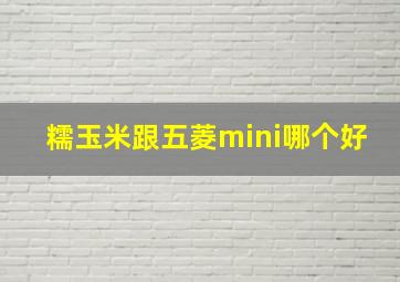 糯玉米跟五菱mini哪个好