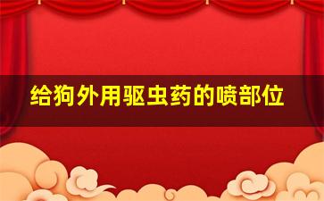 给狗外用驱虫药的喷部位