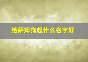 给萨姆狗起什么名字好