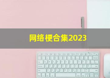 网络梗合集2023