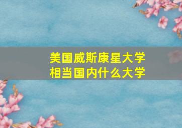 美国威斯康星大学相当国内什么大学