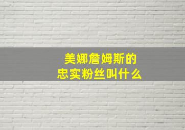 美娜詹姆斯的忠实粉丝叫什么