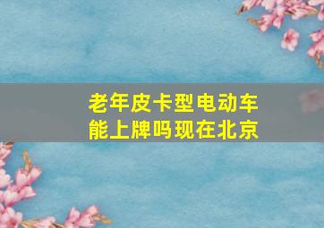 老年皮卡型电动车能上牌吗现在北京