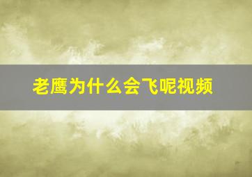 老鹰为什么会飞呢视频