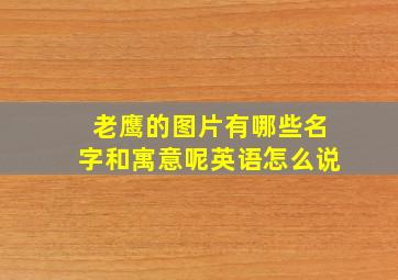 老鹰的图片有哪些名字和寓意呢英语怎么说