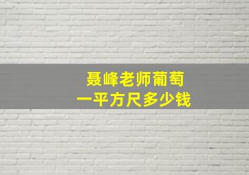 聂峰老师葡萄一平方尺多少钱