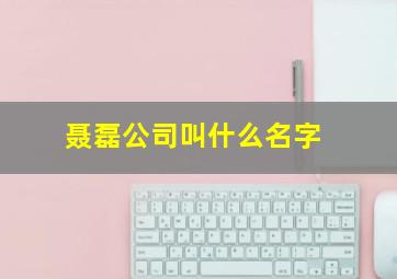 聂磊公司叫什么名字