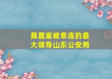 聂磊案被牵连的最大领导山东公安局