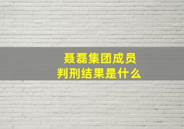 聂磊集团成员判刑结果是什么