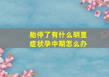 胎停了有什么明显症状孕中期怎么办