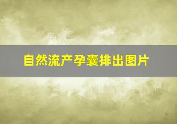 自然流产孕囊排出图片