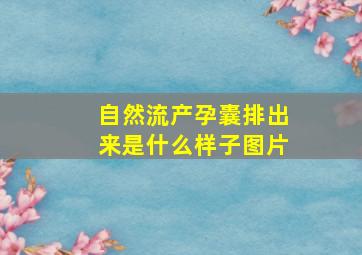 自然流产孕囊排出来是什么样子图片