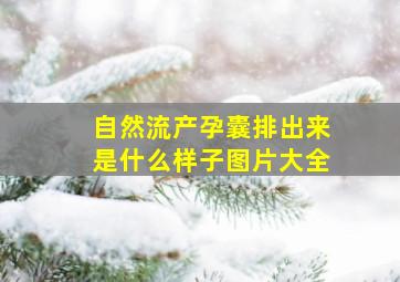 自然流产孕囊排出来是什么样子图片大全