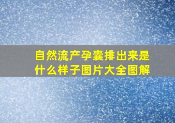 自然流产孕囊排出来是什么样子图片大全图解