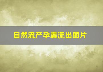 自然流产孕囊流出图片