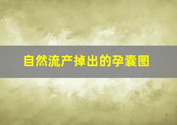 自然流产掉出的孕囊图