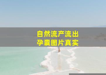 自然流产流出孕囊图片真实