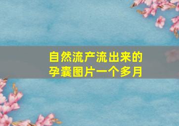 自然流产流出来的孕囊图片一个多月