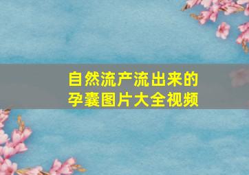 自然流产流出来的孕囊图片大全视频