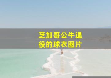 芝加哥公牛退役的球衣图片