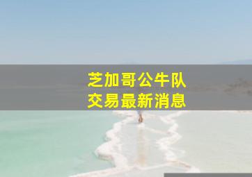 芝加哥公牛队交易最新消息