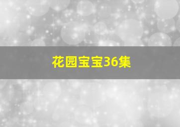 花园宝宝36集