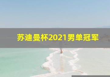 苏迪曼杯2021男单冠军