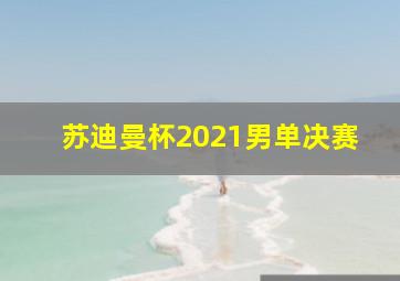 苏迪曼杯2021男单决赛