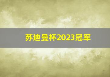 苏迪曼杯2023冠军