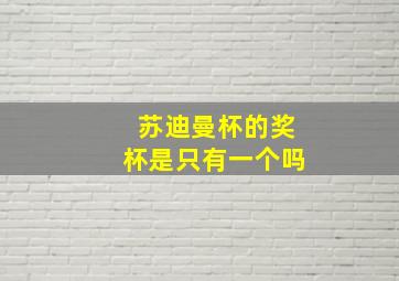 苏迪曼杯的奖杯是只有一个吗