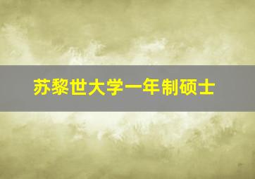 苏黎世大学一年制硕士