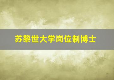 苏黎世大学岗位制博士