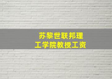 苏黎世联邦理工学院教授工资