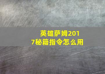 英雄萨姆2017秘籍指令怎么用