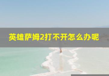 英雄萨姆2打不开怎么办呢