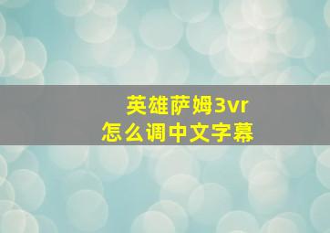 英雄萨姆3vr怎么调中文字幕