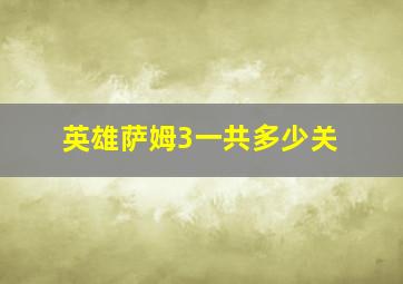 英雄萨姆3一共多少关