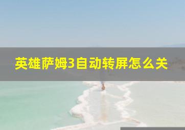 英雄萨姆3自动转屏怎么关