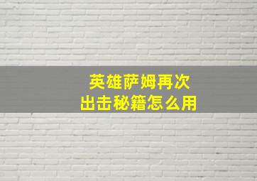 英雄萨姆再次出击秘籍怎么用