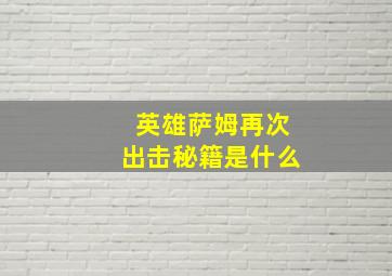 英雄萨姆再次出击秘籍是什么