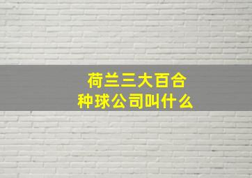 荷兰三大百合种球公司叫什么