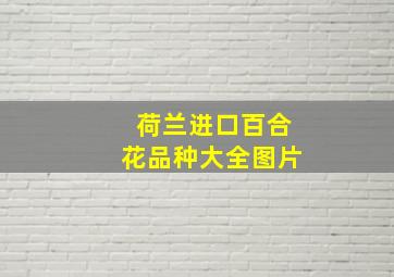 荷兰进口百合花品种大全图片