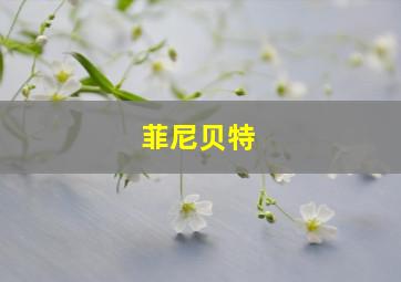 菲尼贝特